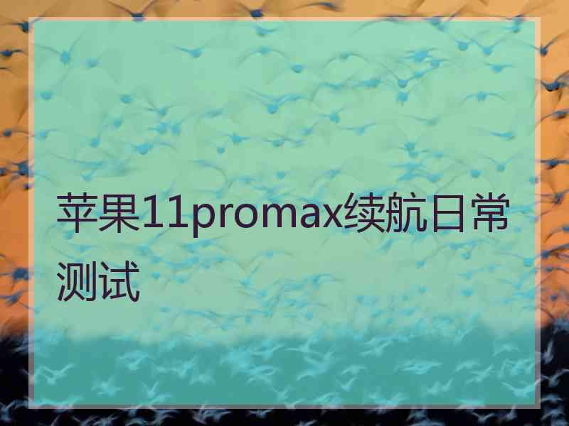 苹果11promax续航日常测试