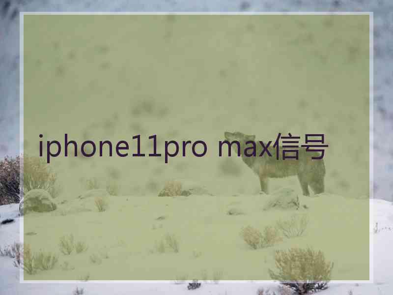 iphone11pro max信号