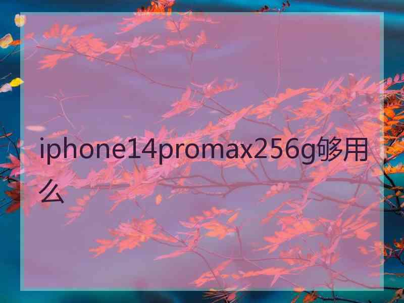 iphone14promax256g够用么