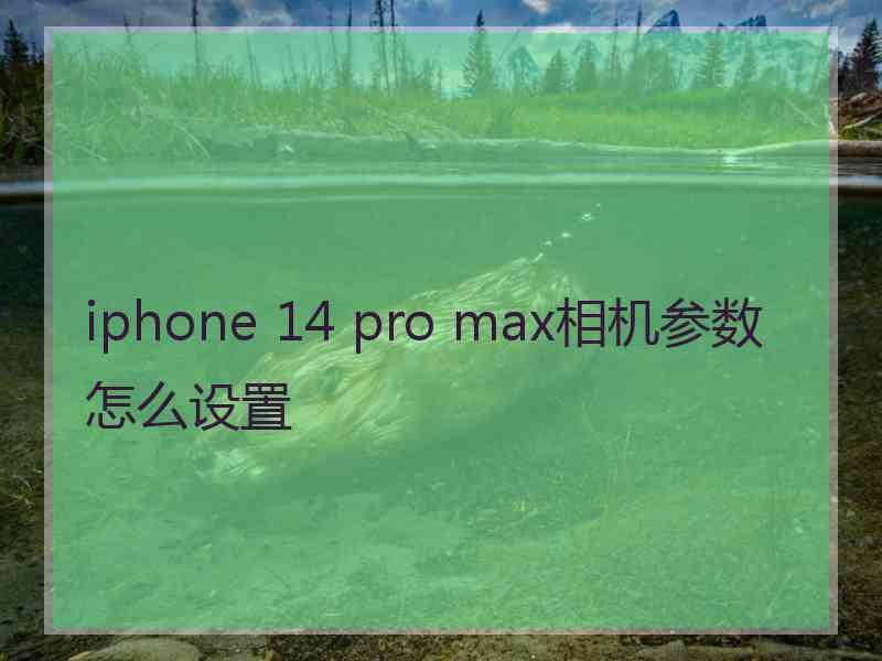 iphone 14 pro max相机参数怎么设置