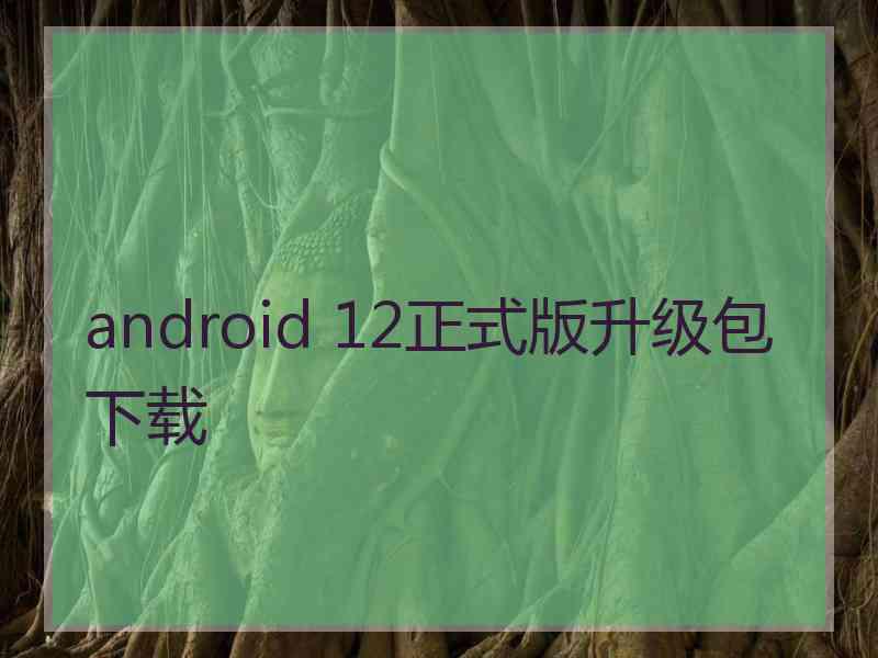 android 12正式版升级包下载