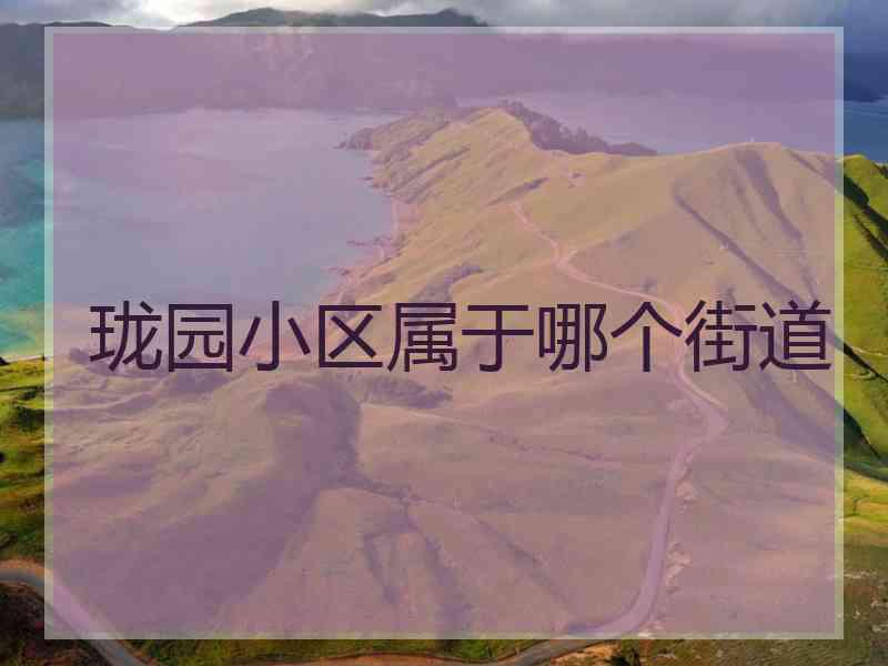 珑园小区属于哪个街道