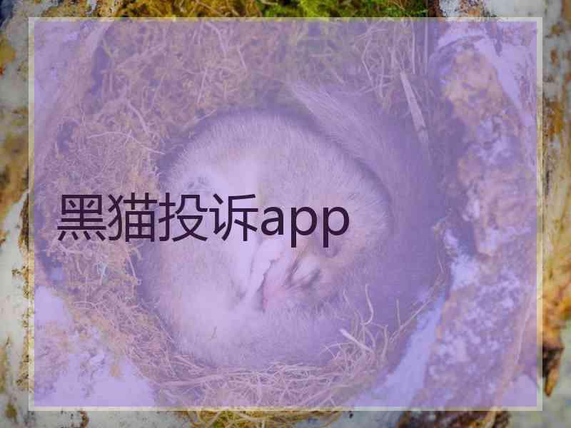 黑猫投诉app