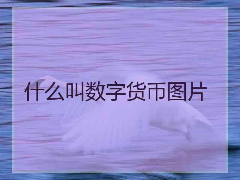 什么叫数字货币图片