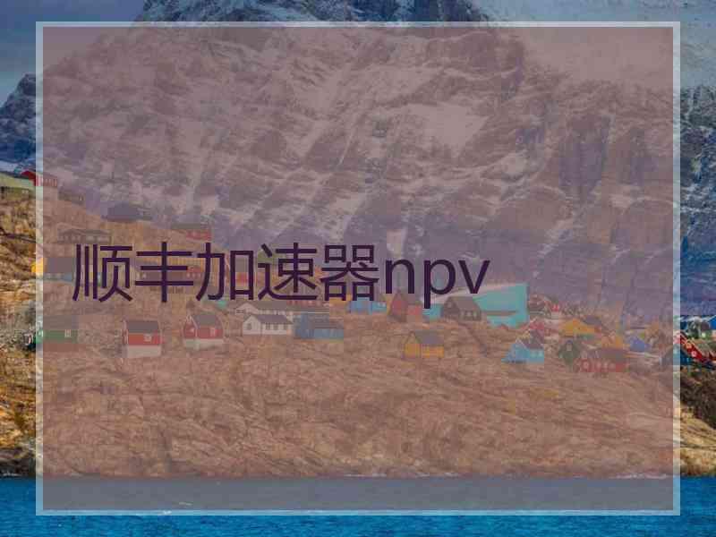 顺丰加速器npv