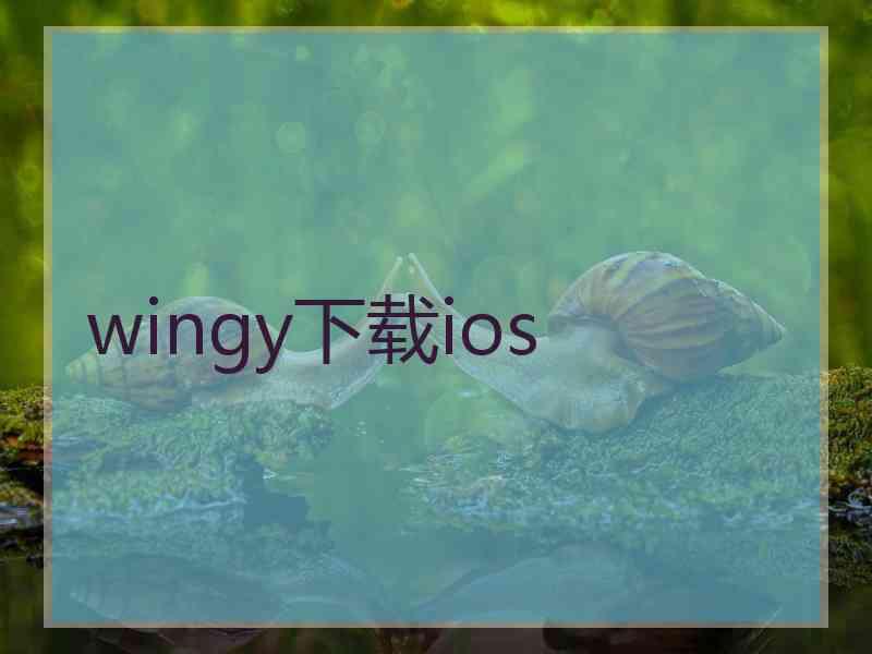 wingy下载ios