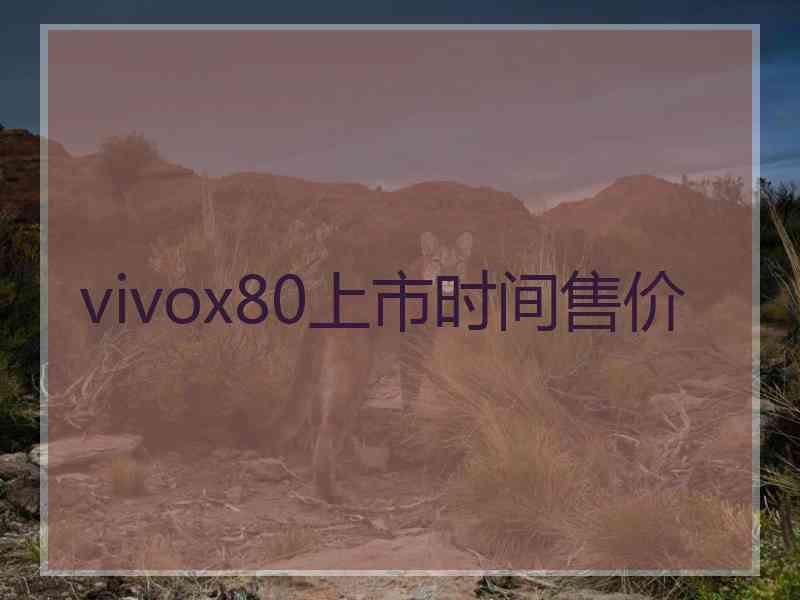 vivox80上市时间售价