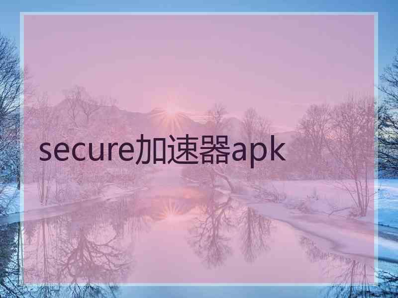 secure加速器apk