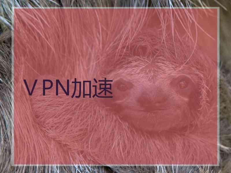 ⅤPN加速