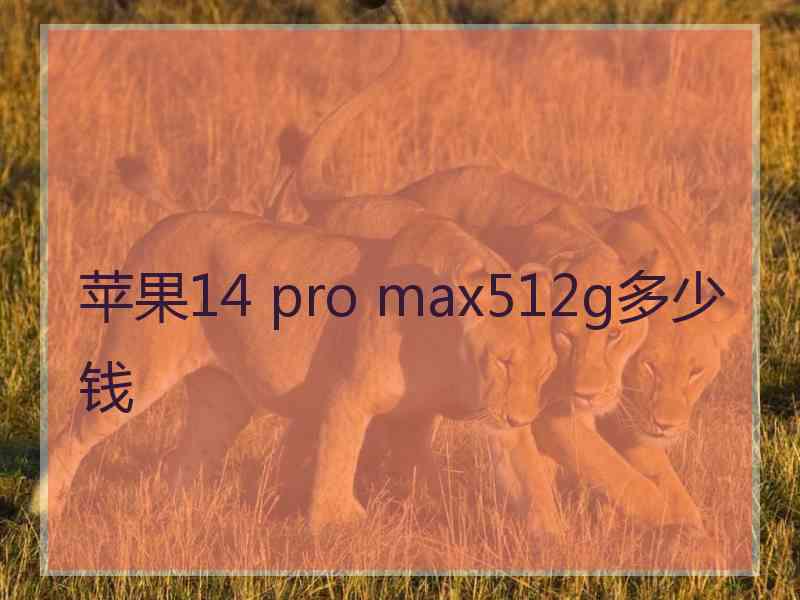 苹果14 pro max512g多少钱