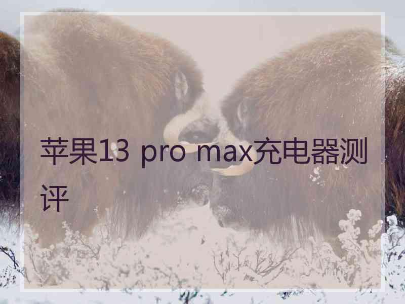 苹果13 pro max充电器测评