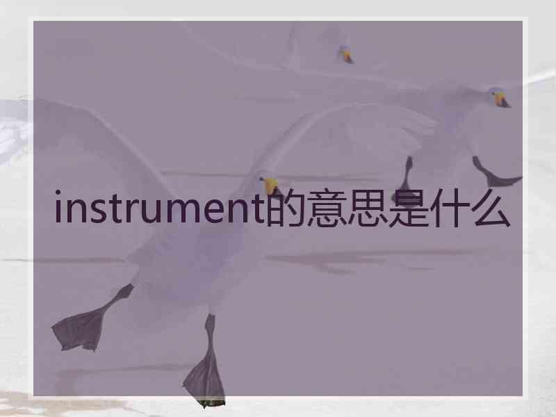 instrument的意思是什么