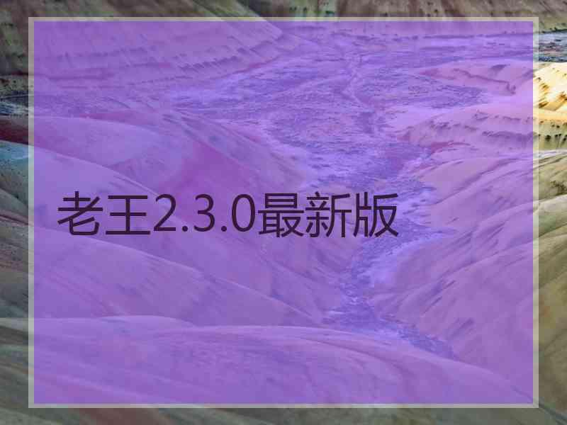 老王2.3.0最新版