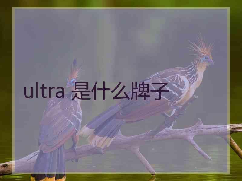 ultra 是什么牌子