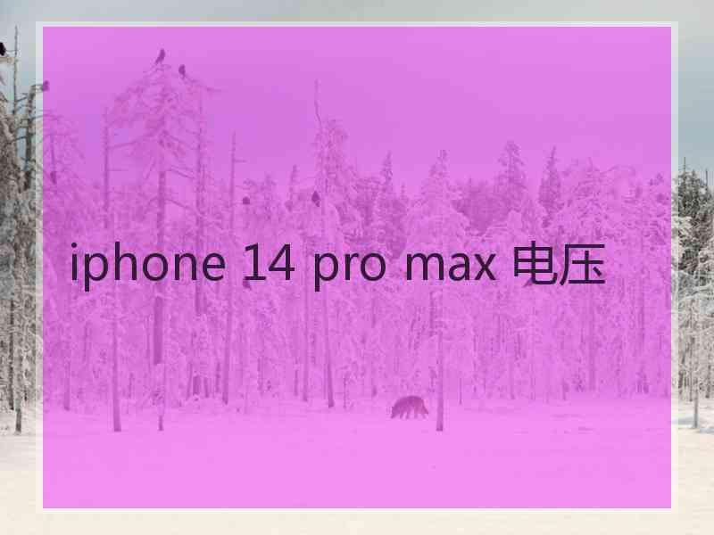 iphone 14 pro max 电压