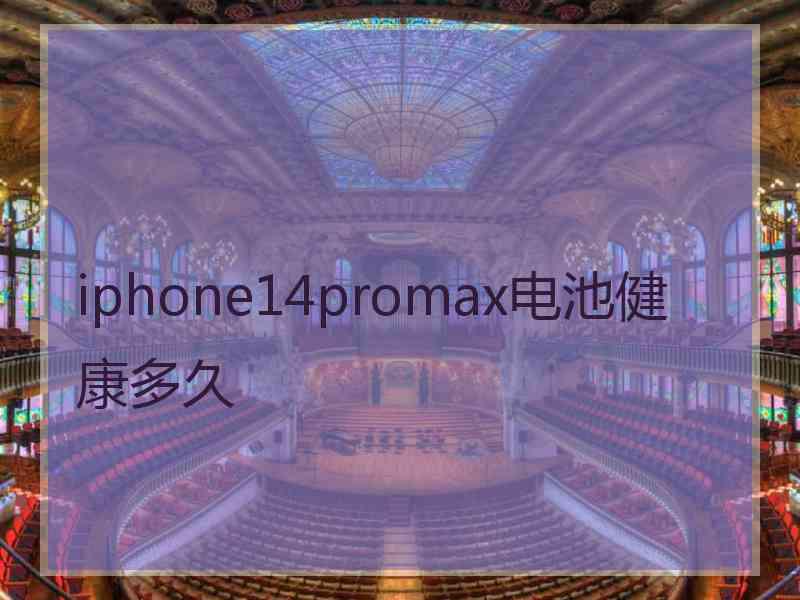 iphone14promax电池健康多久