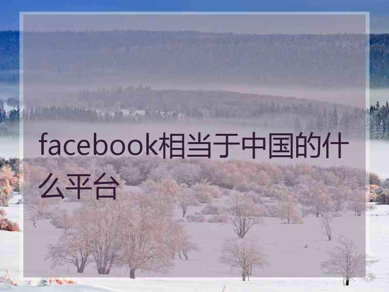 facebook相当于中国的什么平台