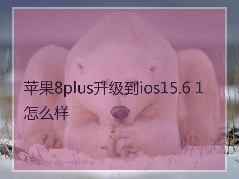 苹果8plus升级到ios15.6 1怎么样