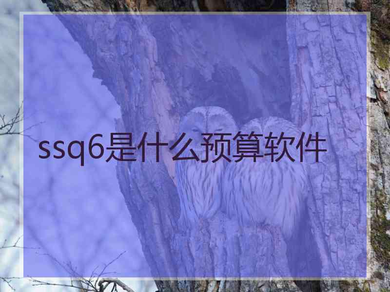 ssq6是什么预算软件