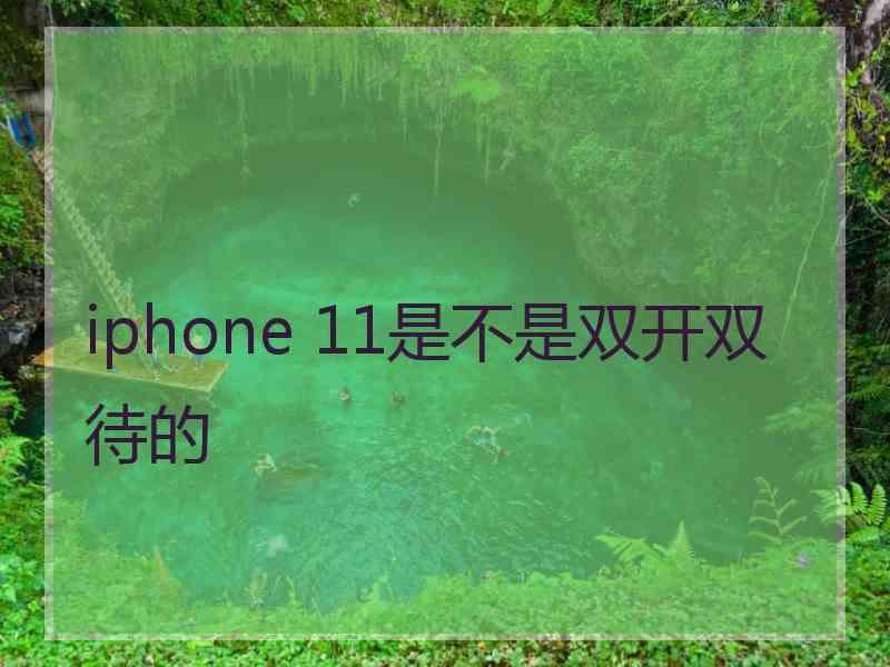 iphone 11是不是双开双待的