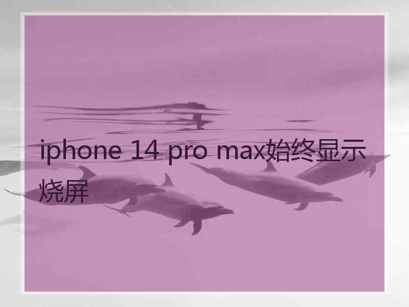 iphone 14 pro max始终显示烧屏