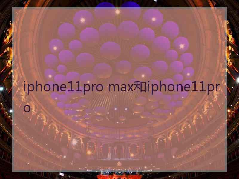 iphone11pro max和iphone11pro