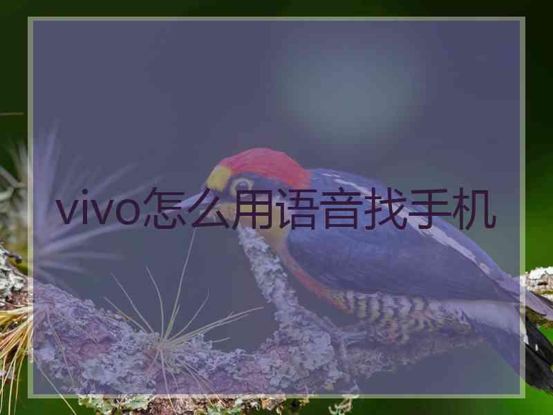 vivo怎么用语音找手机