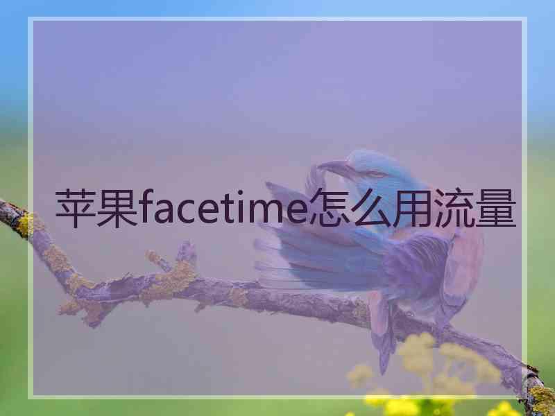 苹果facetime怎么用流量