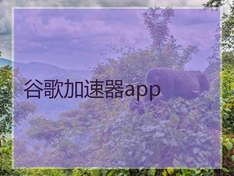 谷歌加速器app