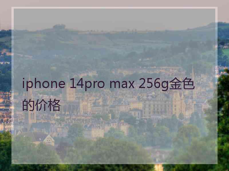 iphone 14pro max 256g金色的价格