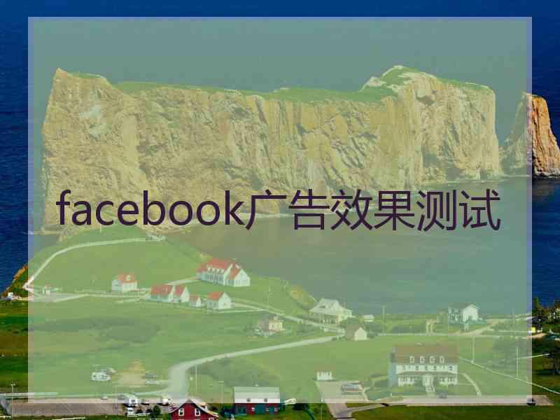 facebook广告效果测试