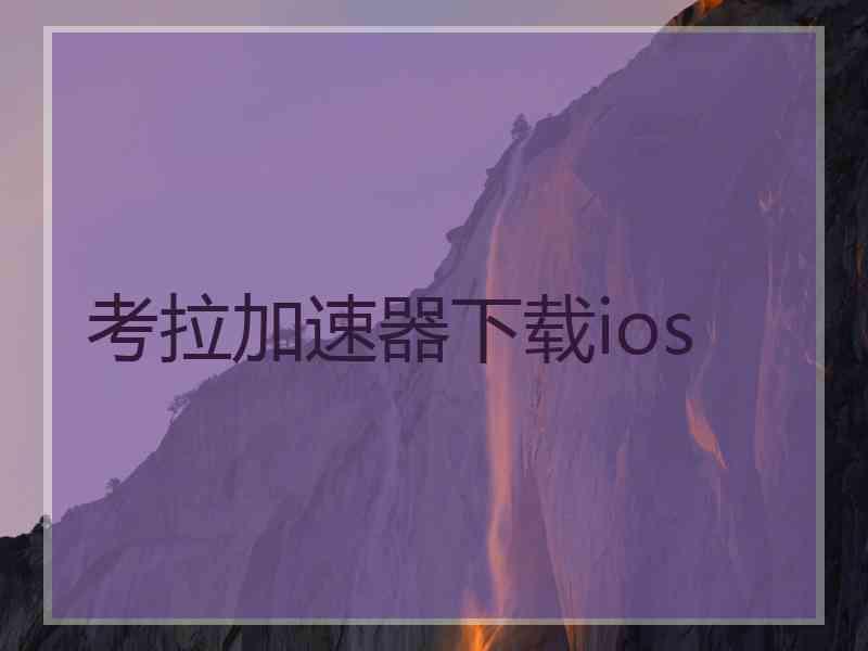 考拉加速器下载ios