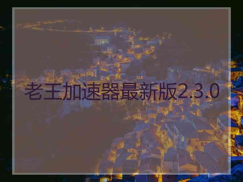 老王加速器最新版2.3.0