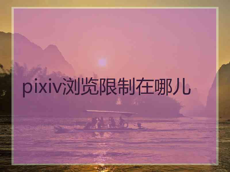 pixiv浏览限制在哪儿