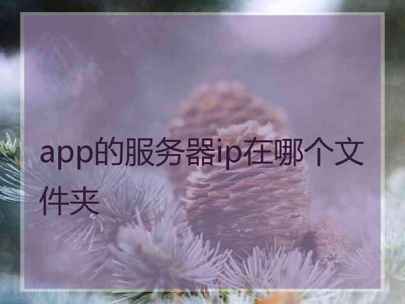 app的服务器ip在哪个文件夹