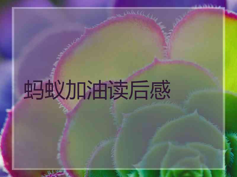 蚂蚁加油读后感