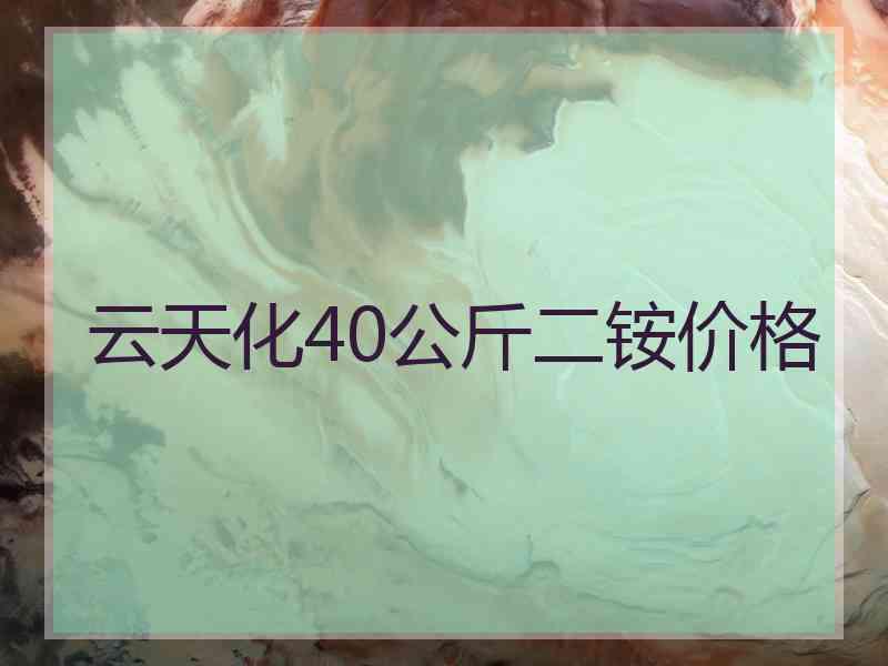 云天化40公斤二铵价格