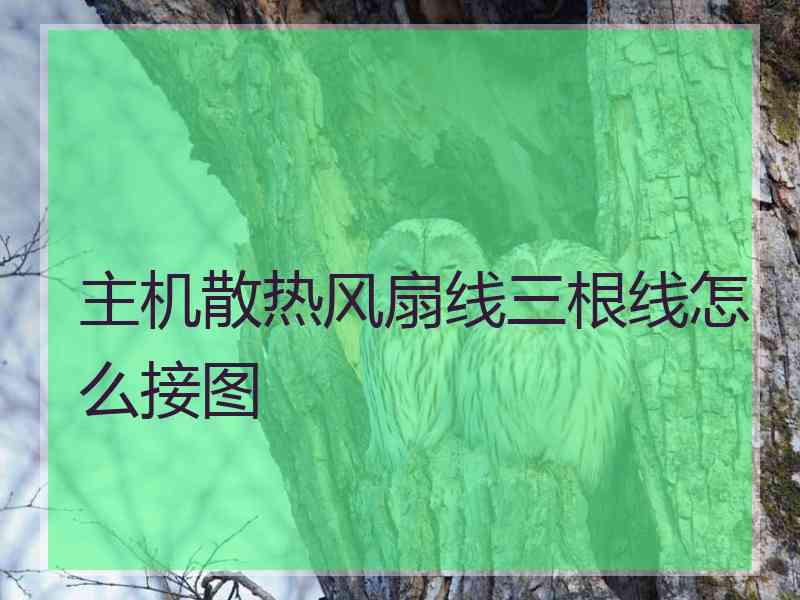 主机散热风扇线三根线怎么接图