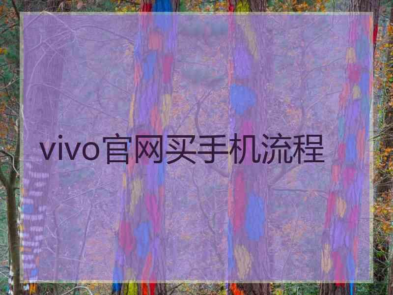 vivo官网买手机流程