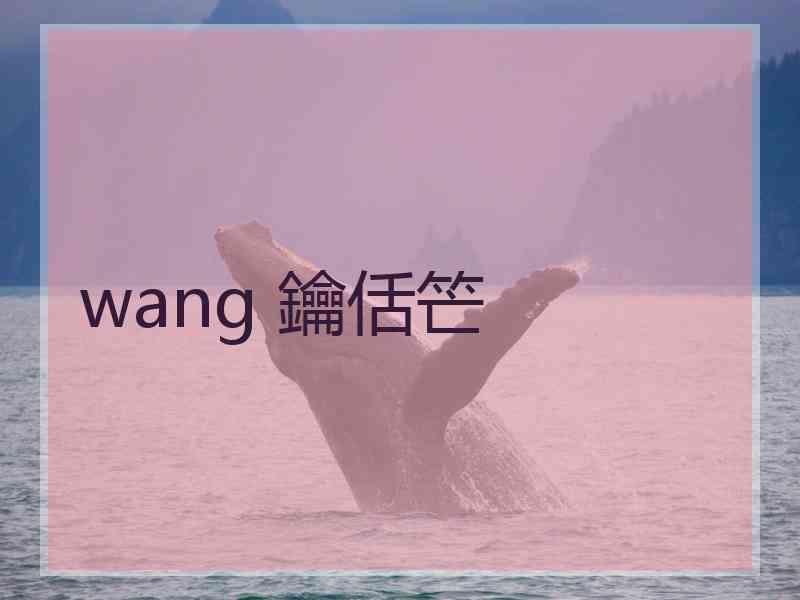 wang 鑰佸笀