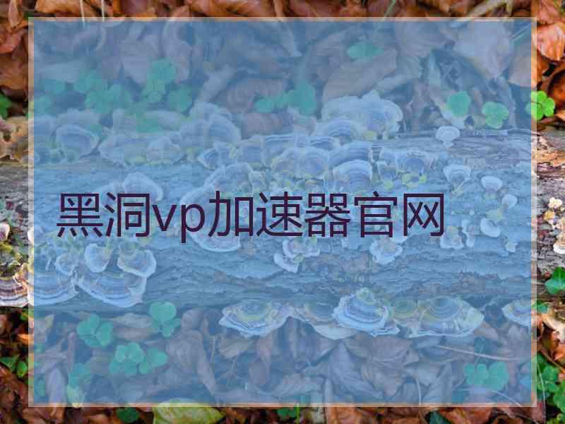 黑洞vp加速器官网