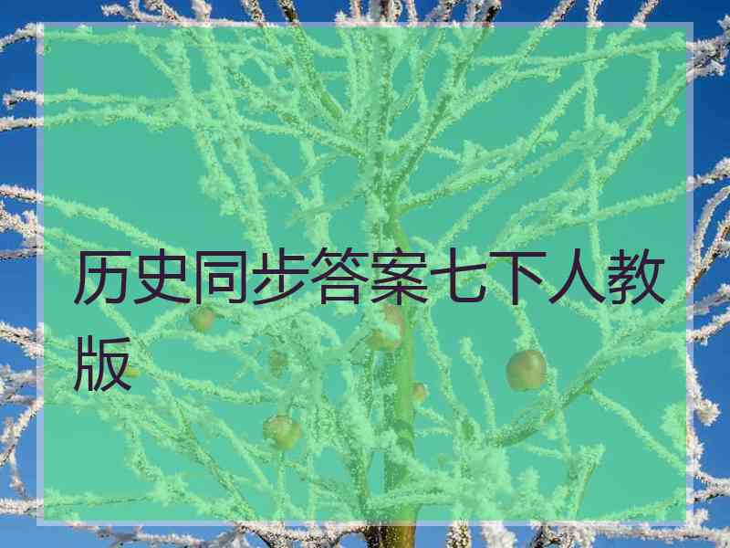 历史同步答案七下人教版