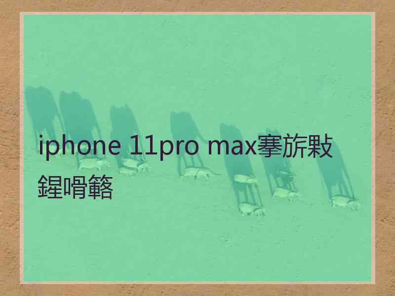 iphone 11pro max搴旂敤鍟嗗簵