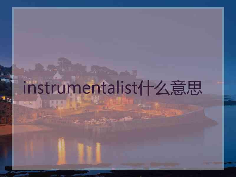 instrumentalist什么意思