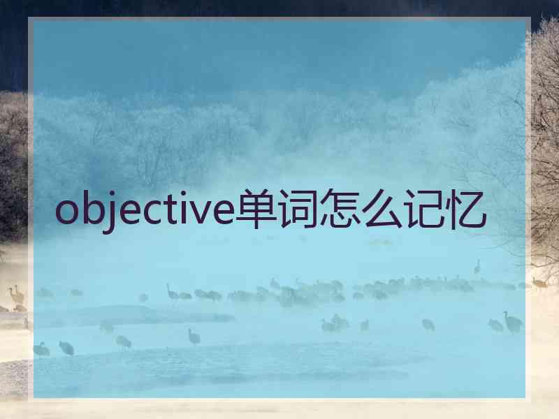 objective单词怎么记忆