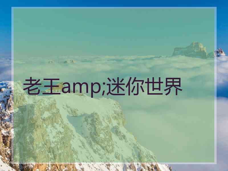 老王amp;迷你世界