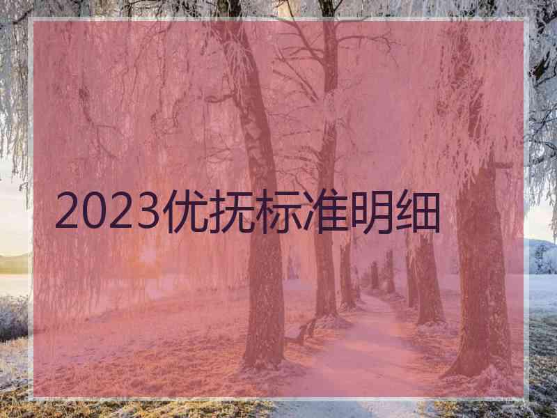 2023优抚标准明细