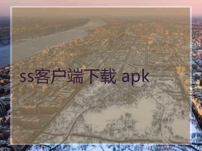 ss客户端下载 apk