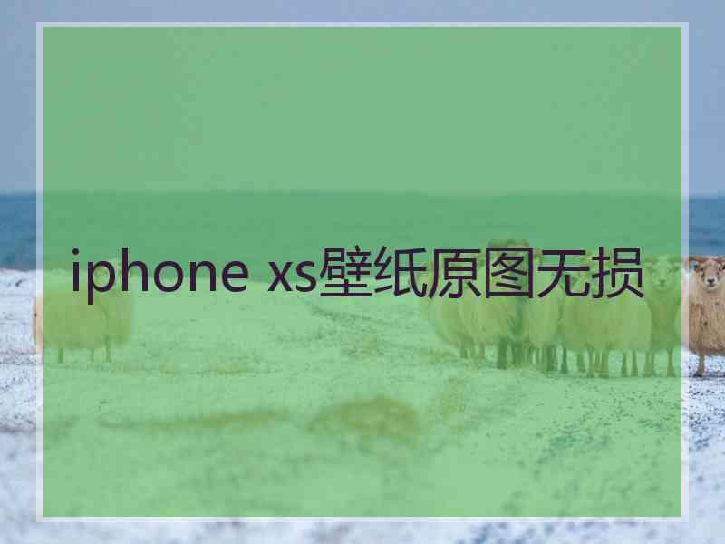 iphone xs壁纸原图无损