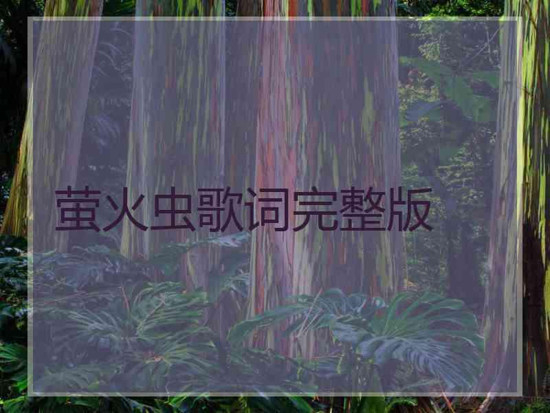 萤火虫歌词完整版